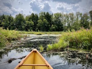 Marshy view on Lamoka Lake