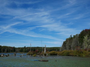 Balsam Pond